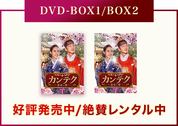 DVD-BOX1 DVD-BOX2 好評発売中/絶賛レンタル中