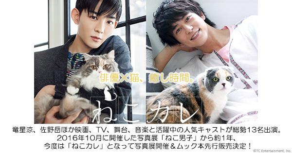 Amazon.co.jp: ねこカレ (ムック本) [NKCDVDB-03] : 竜星 涼