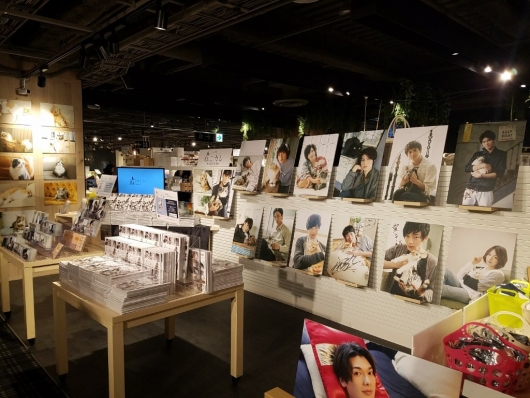 ムック本「ねこカレ」発売記念特別展