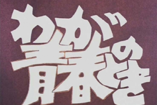 昭和の名作ライブラリー　第21集  わが青春のとき　HDリマスター DVD-BOX