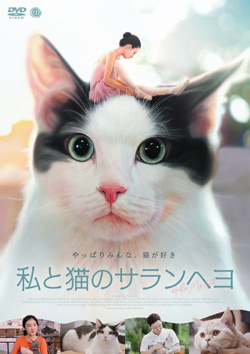私と猫のサランヘヨ　DVD