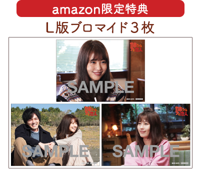 姉ちゃんの恋人 DVD-BOX DVD - sakairesources.ug.edu.gh