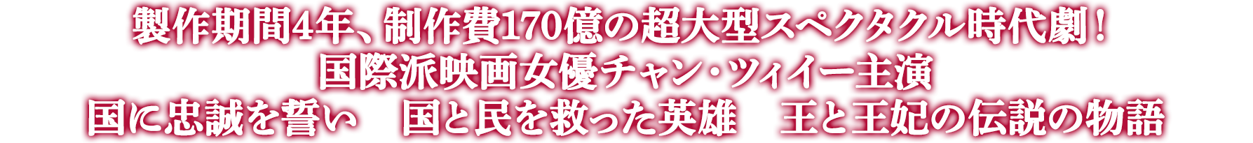 製作期間4年、制作費170億の超大型スペクタクル時代劇！国際派映画女優チャン・ツィイー主演　国に忠誠を誓い　国と民を救った英雄　王と王妃の伝説の物語