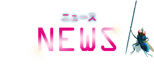 NEWS＜ニュース＞