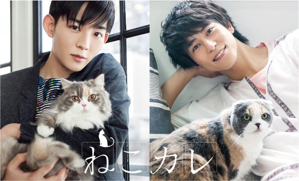 「ねこカレ」 吉祥寺パルコにて今夏、写真展開催決定!