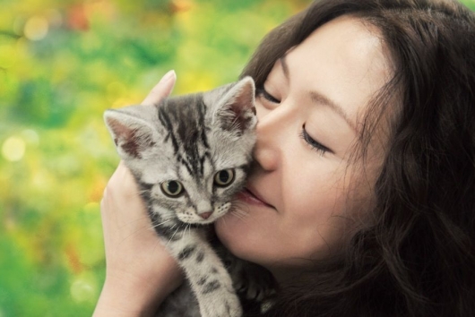 グーグーだって猫である Blu-ray スペシャル・エディション