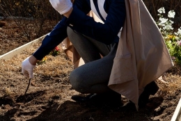 Photo4