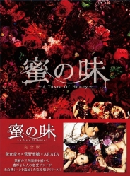 蜜の味～A Taste Of Honey～ 完全版　DVD-BOX