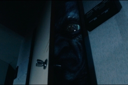 Photo4
