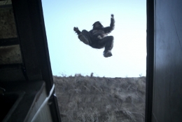 Photo1