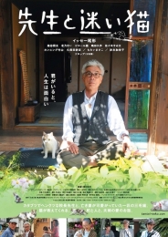 先生と迷い猫 DVD 豪華版