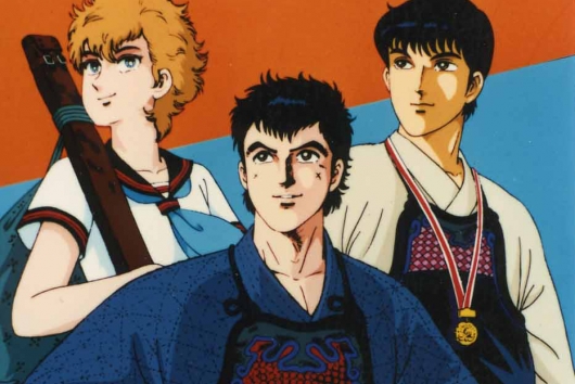 想い出のアニメライブラリー　第68集  六三四の剣　青春編　DVD-BOX　HDリマスター版　