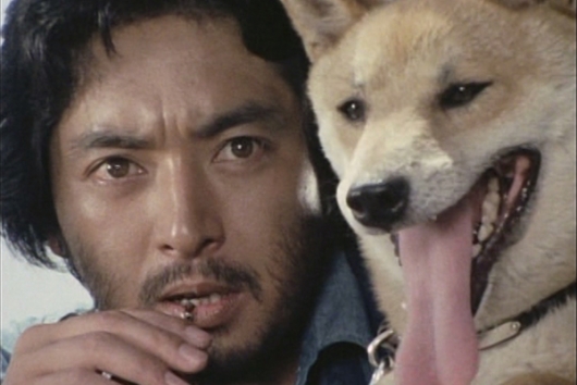 犬笛 ー娘よ、生命の笛を吹けー コレクターズDVD＜HDリマスター版＞
【昭和の名作ライブラリー  第65集】