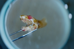 Photo4