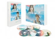 君が心をくれたから　DVD-BOX