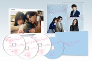 あやしいパートナー　DVD-BOX