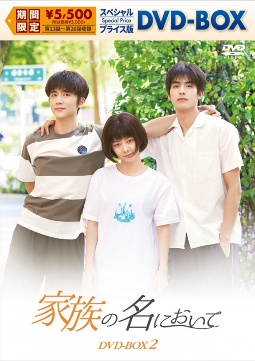 家族の名において　スペシャルプライス版DVD-BOX2