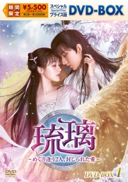 琉璃~めぐり逢う2人、封じられた愛~ スペシャルプライス版DVD-BOX1