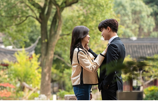 美人骨 スペシャルプライス版DVD-BOX4