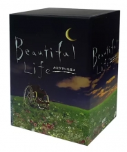ビューティフルライフ　ふたりでいた日々　DVD-BOX
