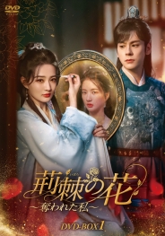 荊棘〈いばら〉の花~奪われた私~ DVD-BOX1