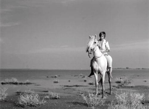 白い馬／小さなロバ、ビム　4Kレストア版  DVD