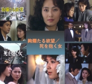 絢爛たる欲望/死を抱く女
【昭和の名作ライブラリー 第188集】